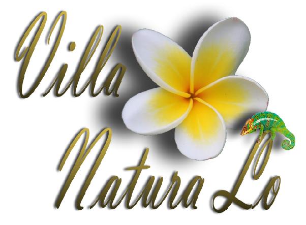 Logo natura lo